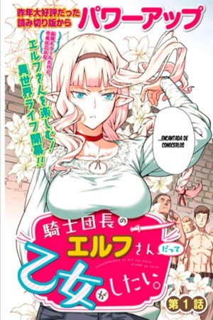 Kishi Danchou no Elf-san datte Otome ga Shitai